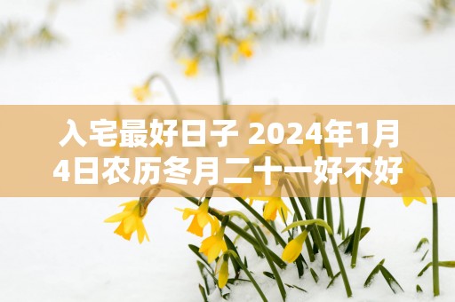 入宅最好日子 2025年1月4日农历冬月二十一好不好