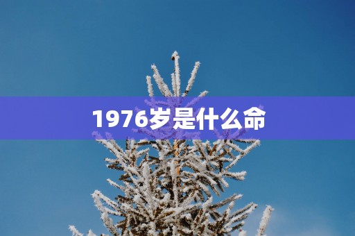 1976岁是什么命