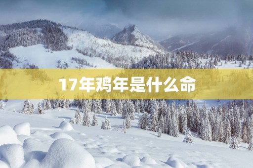 17年鸡年是什么命