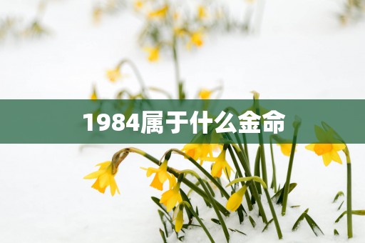 1984属于什么金命