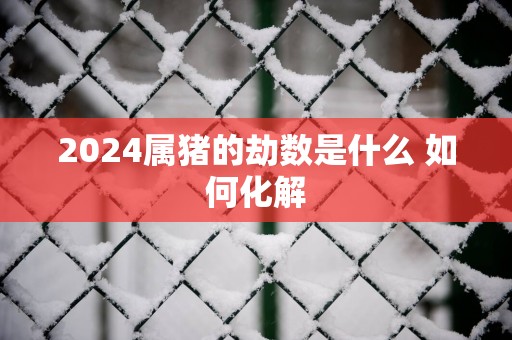 2025属猪的劫数是什么 如何化解