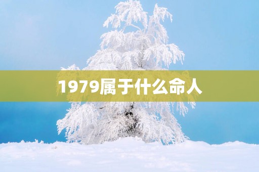 1979属于什么命人