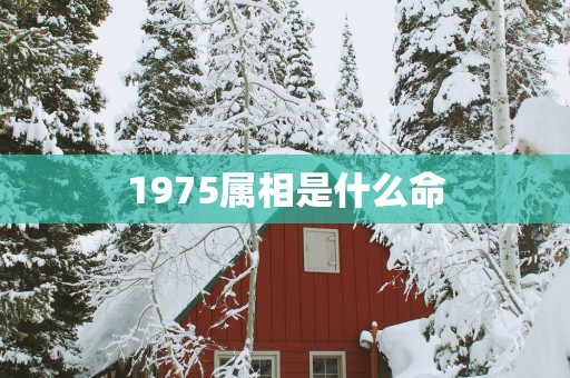 1975属相是什么命