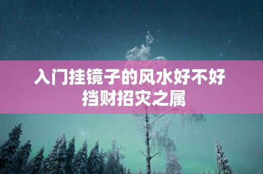 入门挂镜子的风水好不好  挡财招灾之属