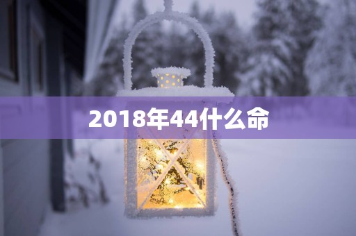 2018年44什么命