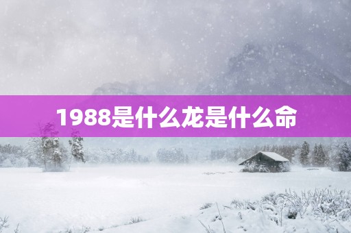 1988是什么龙是什么命