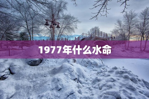 1977年什么水命