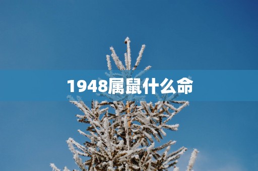 1948属鼠什么命