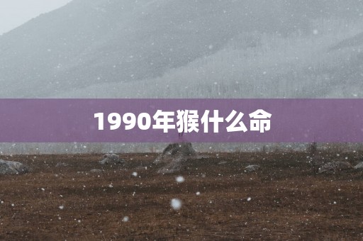 1990年猴什么命