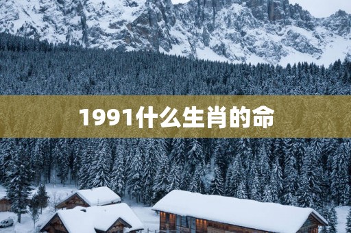 1991什么生肖的命