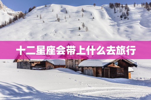 十二星座会带上什么去旅行