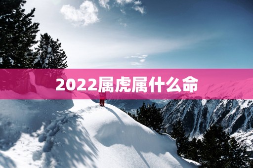 2025属虎属什么命