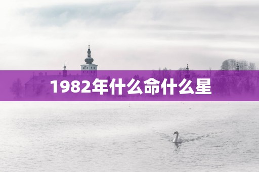 1982年什么命什么星