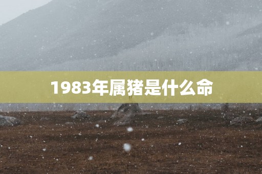 1983年属猪是什么命