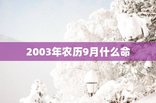 2003年农历9月什么命