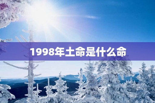 1998年土命是什么命