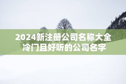 2025新注册公司名称大全 冷门且好听的公司名字