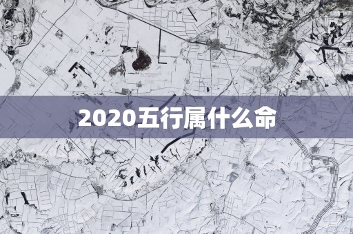 2025五行属什么命