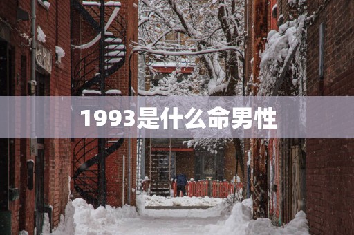 1993是什么命男性