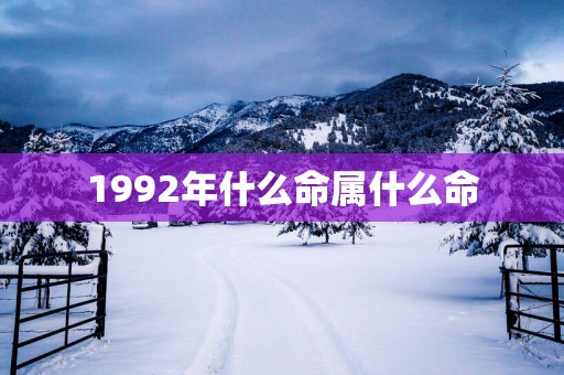 1992年什么命属什么命