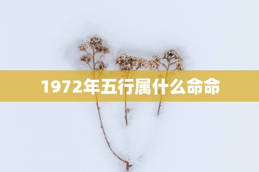1972年五行属什么命命