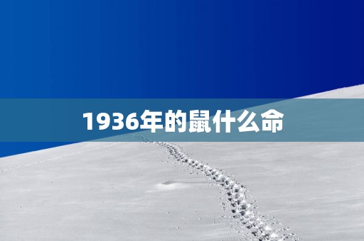 1936年的鼠什么命