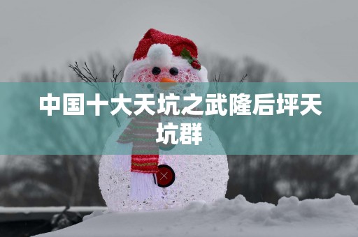 中国十大天坑之武隆后坪天坑群