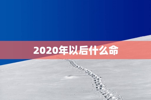 2025年以后什么命