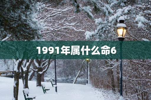 1991年属什么命6