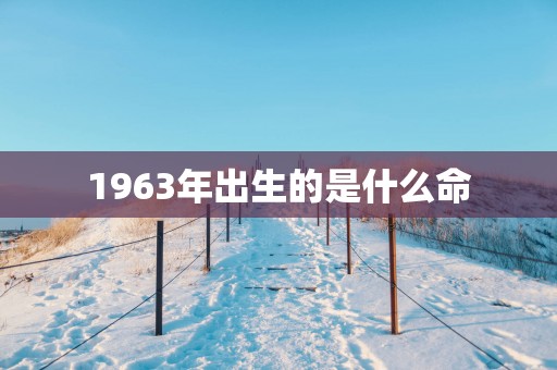 1963年出生的是什么命