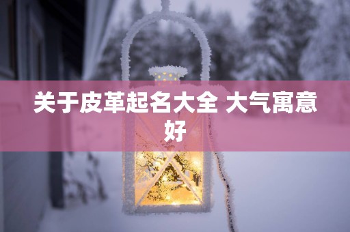关于皮革起名大全 大气寓意好