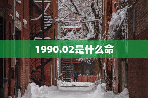 1990.02是什么命