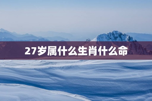 27岁属什么生肖什么命