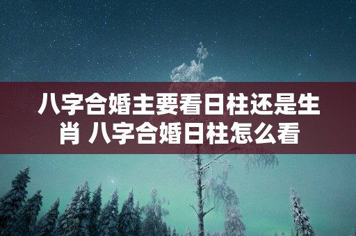 八字合婚主要看日柱还是生肖 八字合婚日柱怎么看