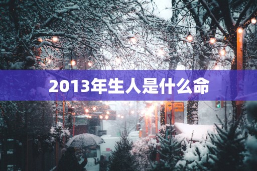 2013年生人是什么命