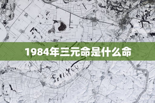 1984年三元命是什么命