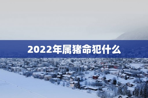 2025年属猪命犯什么