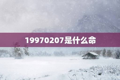 19970207是什么命