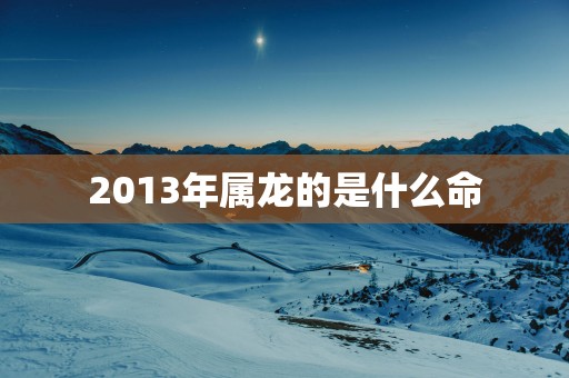 2013年属龙的是什么命
