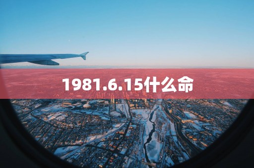 1981.6.15什么命