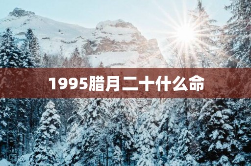 1995腊月二十什么命