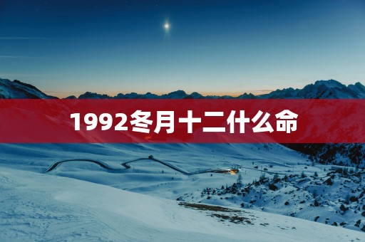 1992冬月十二什么命