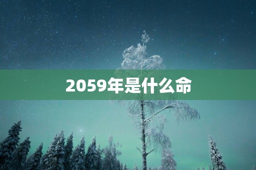 2059年是什么命