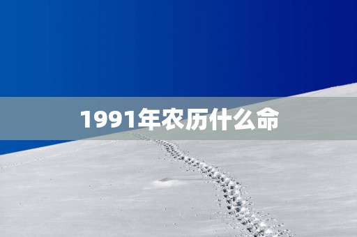 1991年农历什么命