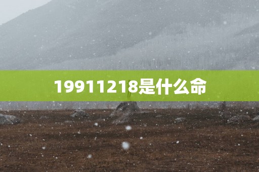 19911218是什么命