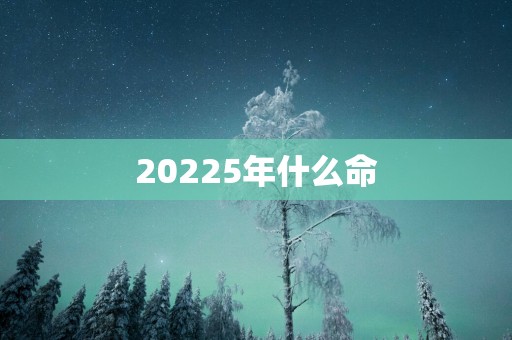 20255年什么命