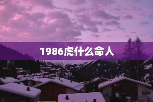 1986虎什么命人