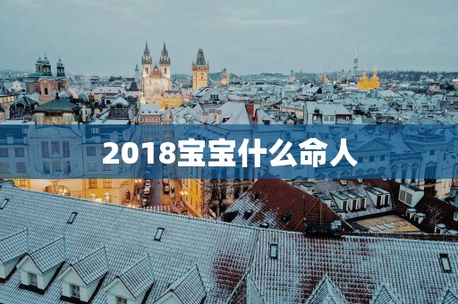 2018宝宝什么命人