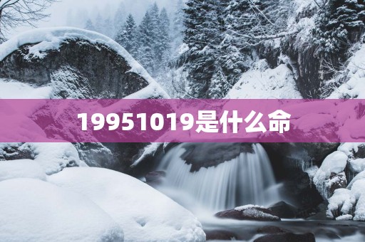 19951019是什么命