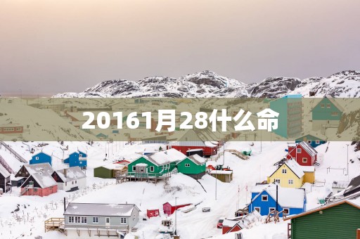 20161月28什么命